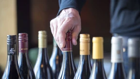 Deutschland, deine Winzer!