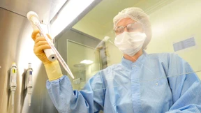 Wenn das Immunsystem gegen Krebs kämpft