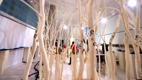 Wie aus literarischen Kostbarkeiten bibliophile werden