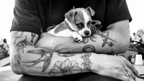 Die Hunde von Venice Beach