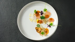 Lebenstraumerfüllung mit Elbphilharmonieblick