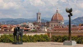 Der Meister vom Ganslberg