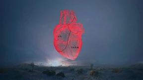 Gehen Sie als Mensch hinein