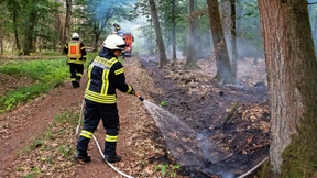 Dutzende Waldbrände wegen Trockenheit und Brandstiftung