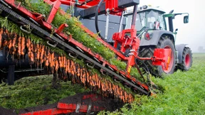 Wenig ökologische Landwirtschaft in Deutschland