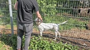 Viele Schäden am Tierheim