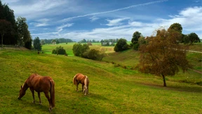 Wenn es warm wird, kommt der Ripper