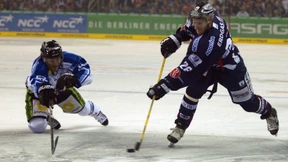 Eisbären mit Fehlstart