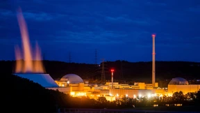 Der Schwanz wedelt mit dem Hund