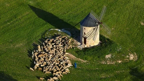 Wo sind denn hier die Riesen?