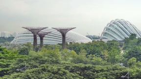 Eine andere Art von Reichtum