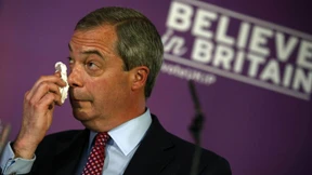 Das überraschend graue Seminar des Nigel Farage