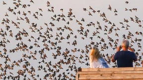 Fernflüge mit Risiko