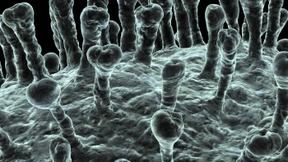 Helfen Hepatitis-Mittel gegen Covid-19?