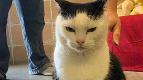 Sie hasst Hunde, Kinder und Umarmungen