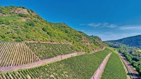 Der Purist und die Perfektion