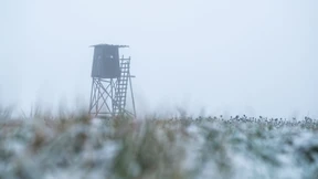 Mann bei der Jagd auf Hochsitz erschossen