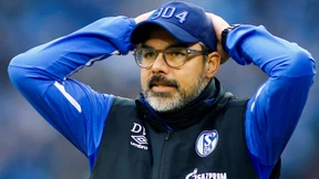 Schalke 04 ist außer sich