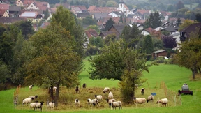 Natur und Lebensgefühl als Wirtschaftsfaktor