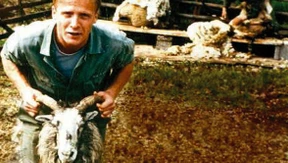 Die Tellerwäscher unter den Top-Managern