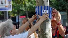 Abermals KZ-Baumbinden beschädigt