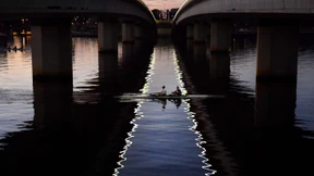 Und täglich grüßt das Känguru
