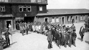 Leben oder Tod ist keine akademische Frage