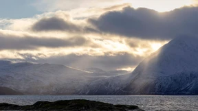 Wo ist all das Blei geblieben?