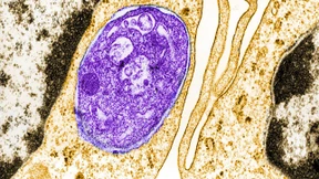 Merck will Biontech schneller mit Rohstoffen beliefern