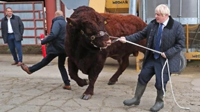 Boris Johnson ruiniert die Tories