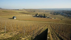 Wieder Streit um Bauprojekt der Staatsweingüter