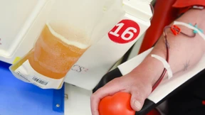 Forderung nach gelockerten Blutspende-Regeln wird lauter