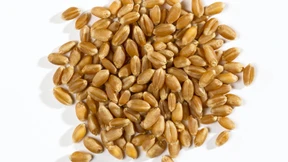 Was kann man heute noch essen?