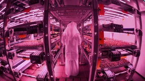 Dubai setzt auf Selbstversorgung