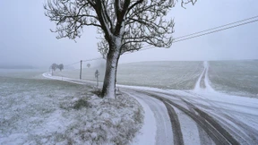 Ehrenwerte Gesellschaft mit Blick für Mehrwert