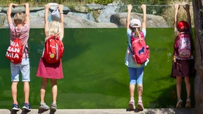 Für Tier, Theater und Teilhabe