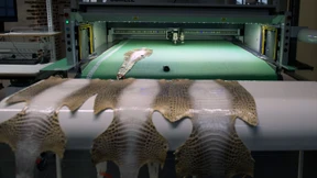 Wo Frankreich Spitze ist