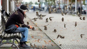 Ein Spatz kommt selten allein
