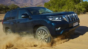 Frisch gemacht und dennoch knorrig