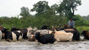 Flut in Bolivien erreicht dramatischen Höhepunkt