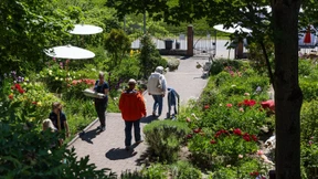 Duftende Blütenpracht zieht Besucher an