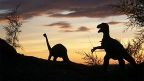 Was im Kopf eines Vierjährigen vorgehen kann