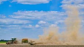 Was täten wir ohne Regenwurm und Springschwanz