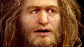 Störtebeker GmbH & Co. KG