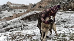 Als der Hund mich in  die Wade biss