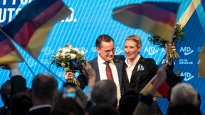 Ist die AfD eine Volkspartei?