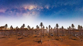 Wir sind dann wohl doch allein