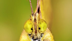 „Wir brauchen die Landwirte“