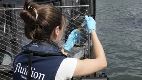 Olympia-Test im Pariser Fluss Seine verschoben