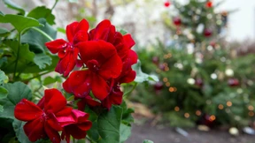 Meteorologen erwarten 15 Grad und Regen